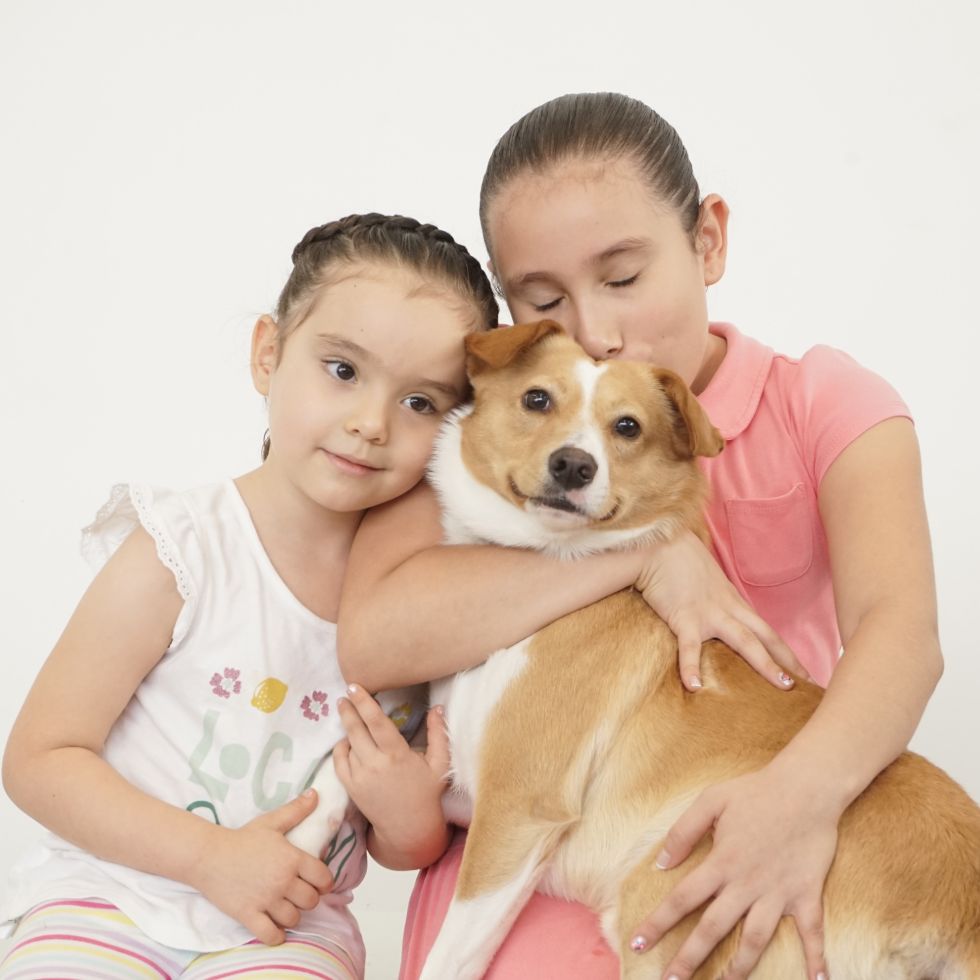 ¿Qué hacen con las cenizas de mi mascota si tomo el Plan Despedida?