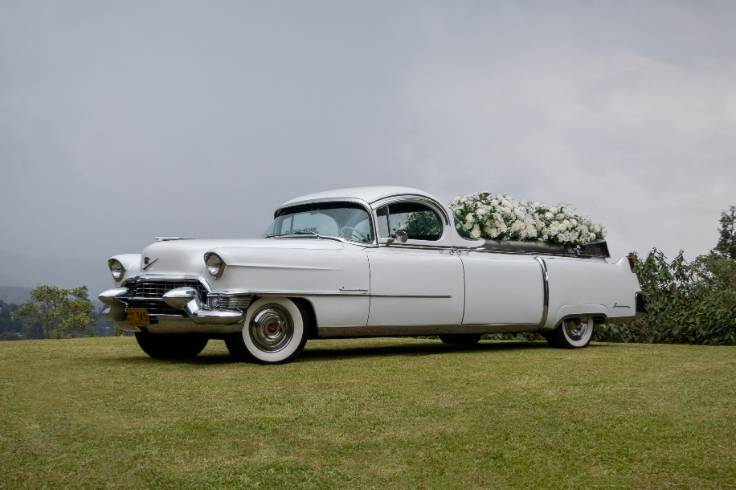 Cadillac Superior Floral1955