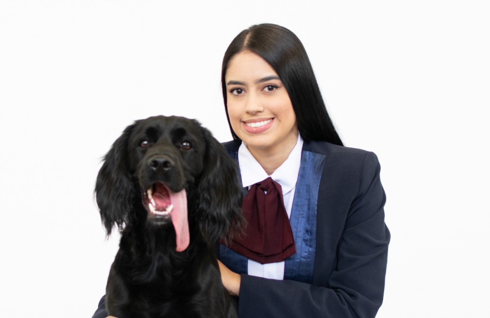 Plan Mascotas